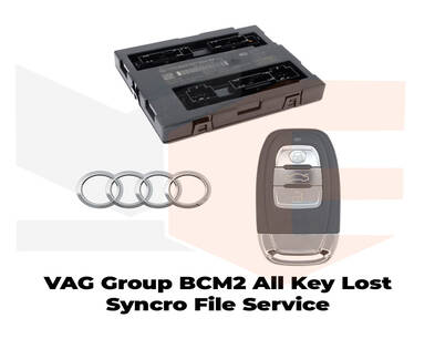 Vag Group Bcm All Key Lost Syncro File Service Emirates Keys